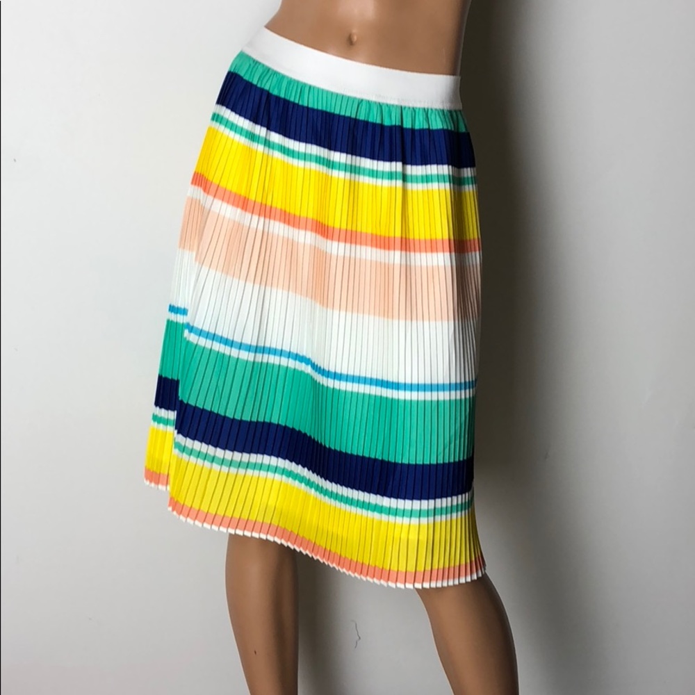 Stripe Pleated Skirt